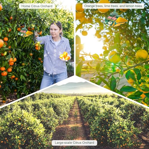 6 Pack Citrus Leafminer Trap & Lure with Pheromone Lures – Triangular Hanging Sticky for All Varieties of Citrus Trees, Includes 6 Traps & 6 Lures, for Orchard & Garden Use - style: for Citrus