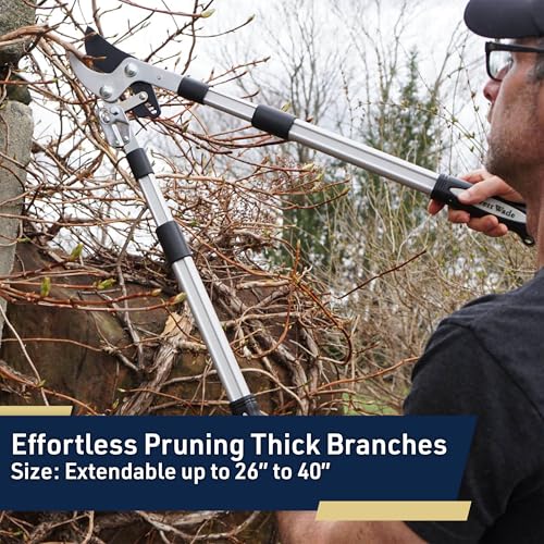 Kings County Tools Tree Trimmer Loppers with 26" - 40" Long Handles - style: 40" Extendable Bypass Lopper