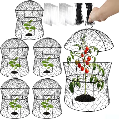 Garden Cloches for Plants 6 Pack Metal Plant Protectors from Animals Chicken Wire Cloche Updated Plant Cages for Outdoor Plants Vegetables Seedlings 13" D x 14" H - style: 6 Pack