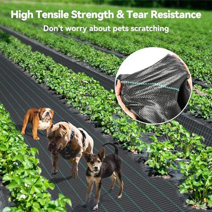 iropro 2.6ftx100ft Weed Barrier Landscape 3.2oz Fabric Heavy Duty, Woven Weed Control Cloth, Woven Geotextile Fabric for Underlayment, Gardening Ground, Commercial Driveway Weed Block Cover Mat - size: 2.6ft x100ft