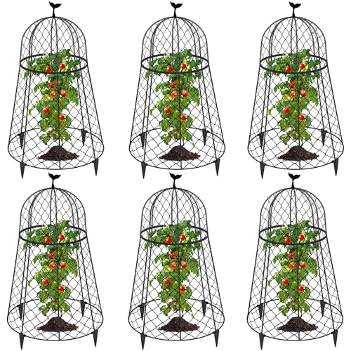 6 Packs Garden Cloches for Plants, Plant Protectors from Animals, Chicken Wire Cloche, Plant Cloche and Cage, Protection for Your Plants and Seedlings, 13" D x 20" H - Black - size: 6pcs - 20" High