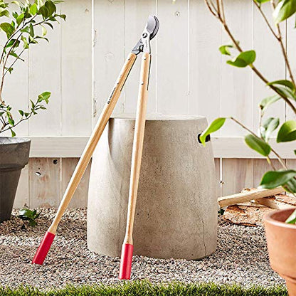 Corona WL 6470 ClassicCUT Bypass Lopper, 36-Inch - size: 36-Inch Overall Length