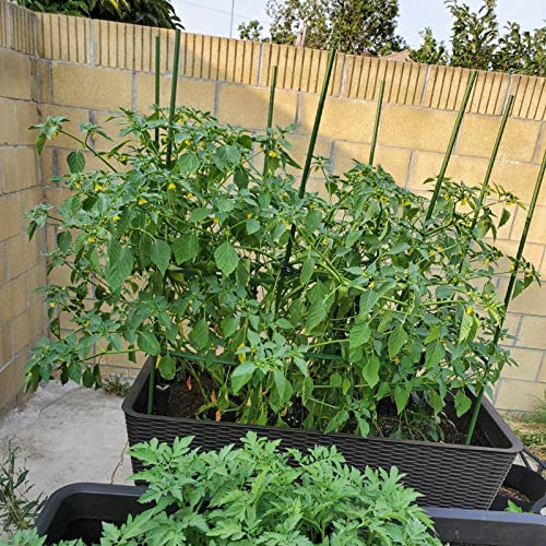 Garden Stakes, 36 Inch 3Ft Steel Plant Tomato Stakes, 25 Pack - size: 36 inch