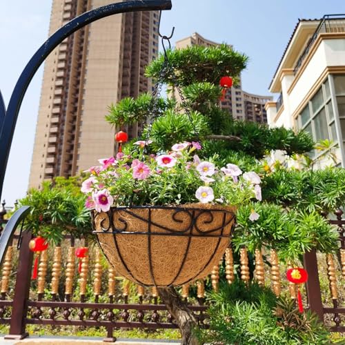 EIMQUVW Outdoor Metal Hanging Planters Basket (4pack, 12 inch) Hanging Baskets for Plants Chain Round Wire Plant Holder with Coco Fiber Liners for Garden, Patio, Deck, Porch(Flower Border) - size: 12 Inch