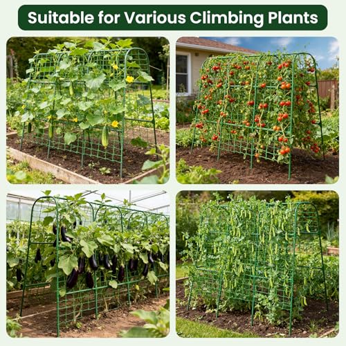 50"x48"Cucumber Trellis, Garden Arch Trellis for Climbing Plants Outdoor - color: Green