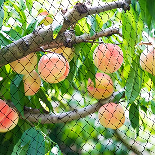 Poultry Netting for Chicken Run, 25x50ft Garden Netting with 1" Square Mesh - size: 25'×50'-1''