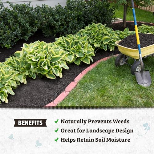 Back to the Roots 25.7qt (1 Cubic ft) Organic Premium Mulch - size: 25.7 quart, style: Mulch