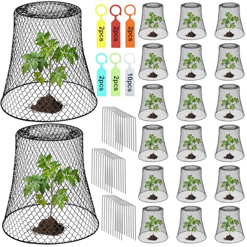 20 Pcs 9"×9" (Multiple Sizes/Quantities Available) Chicken Wire Plant Protectors from Animals, Plant Cage Garden Cloche to Protect Plants Vegetables from Rabbits Squirrels Chicken - size: 9"×9"