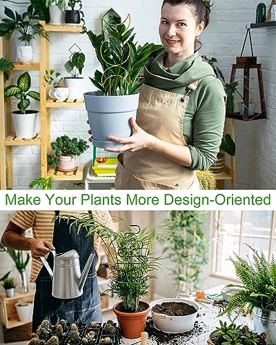 Small Indoor Trellis for Potted Plants, Pothos Plant Climber Support, Black - color: Black