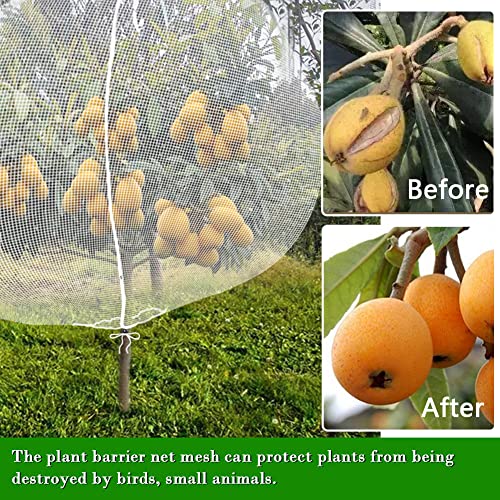 FONUNO Fruit Tree Netting with Zipper Birds Netting for Fruit Trees, White - color: White, size: 10 x 10 feet - 2 Pack