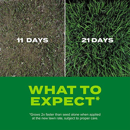Scotts Turf Builder Rapid Grass Tall Fescue Mix, 5.6 lbs.