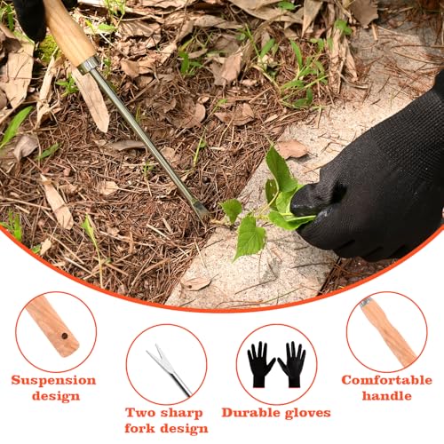 Wooden Handle Dandelion Weeder Tool - Polished Stainless Steel Dual - Forked Head Dandelion Weeder Puller Tool for Planting, Weeding, Flower & Vegetable Care with Nylon Nitrile Coated Gloves - color: silvery