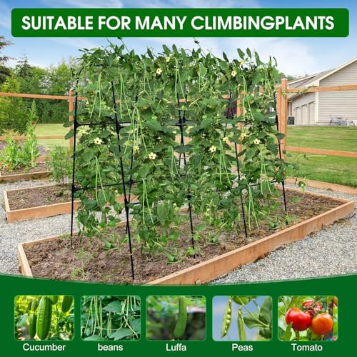 50"x48"Cucumber Trellis, Garden Arch Trellis for Climbing Plants Outdoor - color: Black