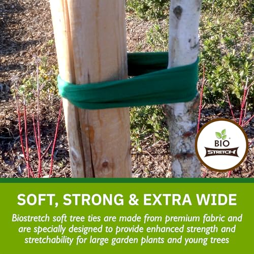 Bio-Stretch Soft Tree Ties & Garden Tape for Young Trees, 16M Green - size: Extra Wide 52 ft / 16M