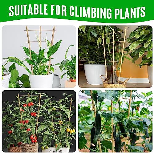 SWANGSA 6 Pack 3Ft Bamboo Trellis for Climbing Plants,35.5 Inch Fan-Shaped Bamboo Plant Trellis with 100pcs Twist Ties for Outdoor and Indoor Potted Plants Garden Stakes - size: 3ft