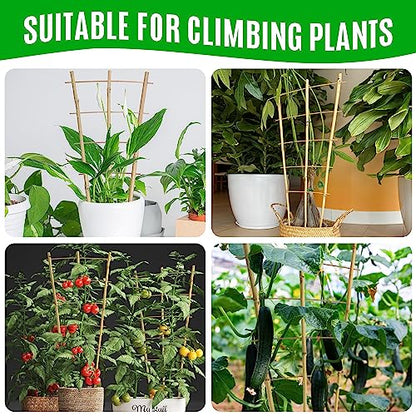 SWANGSA 6 Pack 3Ft Bamboo Trellis for Climbing Plants,35.5 Inch Fan-Shaped Bamboo Plant Trellis with 100pcs Twist Ties for Outdoor and Indoor Potted Plants Garden Stakes - size: 3ft