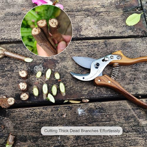 TONMA 8" Anvil Pruning Shears, Made in Japan, Heavy Duty Garden Shears TP-8 - style: Anvil Garden Shears (Wood Grain)