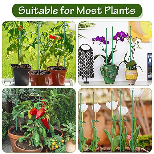 76pcs Plant Stakes for Indoor Plants, 25 Pack 16 inch Plant Support Stakes