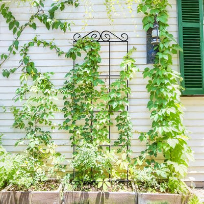 ARIFARO 4Pack 57.5'' Metal Garden Trellis for Climbing Plants Outdoor - size: 57.5 inches