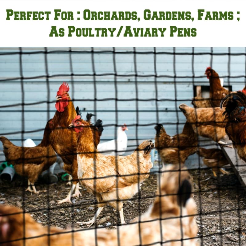 30 x 50 FT Bird Netting for Garden, 1" Square Mesh Size Heavy Duty Nylon Chicken Coop Netting for Blueberry Bushes, Fruit Trees and Vegetable Against Birds, Deer, Squirrels (30X50FT) - size: 30X50FT