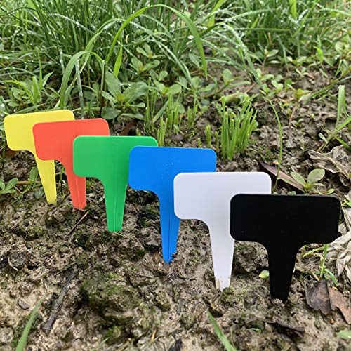 6 Pack Multicolor Waterproof Plastic Plant Labels Garden Markers for Flower Seedlings (B)