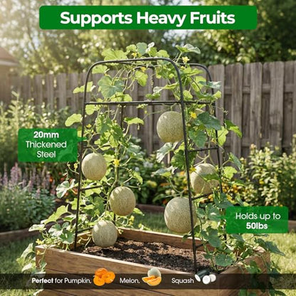Garden Arch Trellis for Climbing Plants, 83" High Metal Cucumber Trellis & Tomato Cage, Rustproof Steel Tunnel Support for Squash, Pumpkin, Vegetables with Screw Fixation (32.3" L x 39.4" W) - style: 83" High x 32" Long (2-Arch)