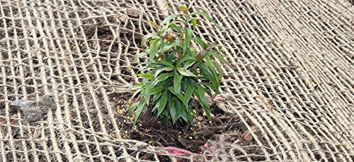 AK TRADING CO. SoilSaver-10Yard AK-Trading 10 Yards (30 feet Long) -120 Sq. Ft. Coverage Jute Erosion Control, Soil Saver Mesh Blanket-48 Wide x 10 Yards, 10 Yards, Natural - size: 10 Yards