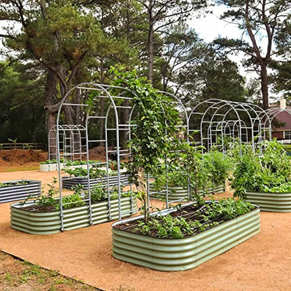 Vego Garden Modular Arched Trellis System Single Section 3.0' Long Trellis for Classic Garden Bed for Climbing Plants Like Cucumber Beans Tomatoes & Vines (Garden Beds Not Included) - size: 3.0 Ft Long