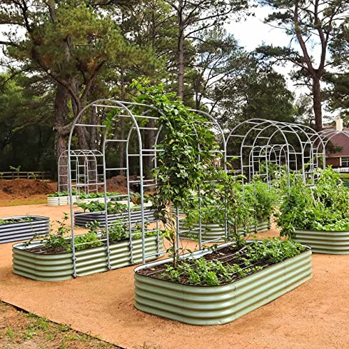 Vego Garden Modular Arched Trellis System 5.5' Long Trellis for 4.0' x 8.0' (10 in 1) Garden Bed for Climbing Plants Like Cucumber Beans Tomatoes & Vines (Garden Beds Not Included) - size: 5.5 Ft Long