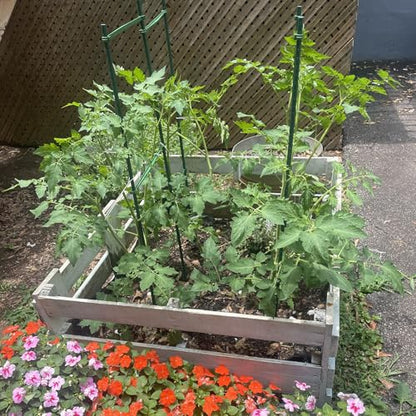 Garden Stakes, 57 Inch (Approx 5Ft) Steel Tomato Plant Stakes, 20 Pack - size: 57 Inch-20 Pack
