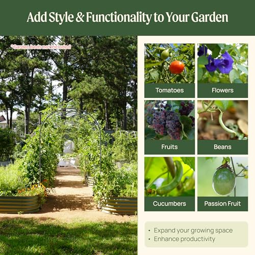 Vego Garden Modular Arched Trellis System 5.5' Long Trellis for 4.0' x 8.0' (10 in 1) Garden Bed for Climbing Plants Like Cucumber Beans Tomatoes & Vines (Garden Beds Not Included) - size: 5.5 Ft Long