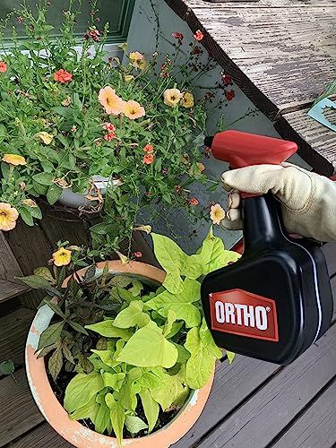 Ortho Handheld AA Battery Powered Sprayer