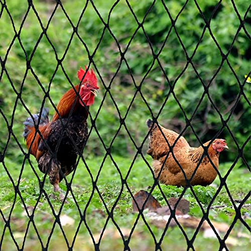 DQS Bird Netting 25x100ft, 1" Square Mesh Poultry Netting for Chicken Coop - size: 1", 25' x100'