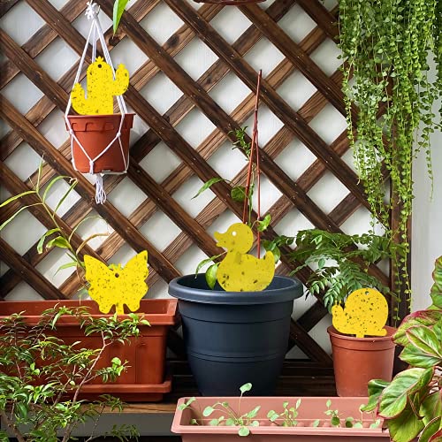 Gideal 48-Pack Dual-Sided Yellow Sticky Traps for Indoor/Outdoor Use, Gnat Trap for Flying Plant Insect Such as Fungus Gnats, Whiteflies, Aphids, Fruit Fly, Leafminers, etc - Cute Shapes - size: 48 Pack