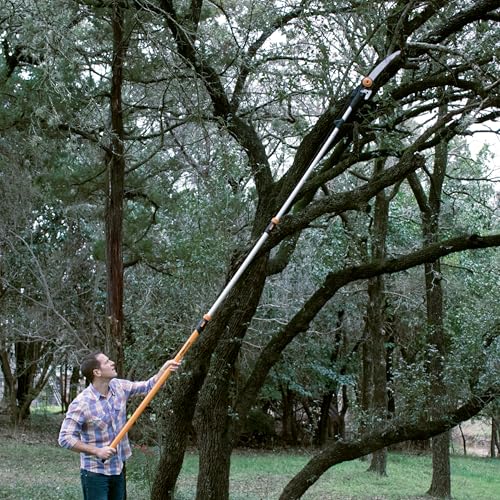 Fiskars 7-16 Ft Chain-Drive Extendable 2-in-1 Tree Pruner & Manual Pole Saw - style: 7-16 ft Chain Drive Saw & Pruner