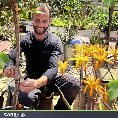 Anchor Bands for Trellising – 140-Pack 16 cm/ 6.3 Inch Rubber Vine Ties, UV-Protected Bands: Grapevines, Trees & Climbing Plants – Tool-Free Loop-and-Anchor Design for Install, Weatherproof - size: 140 pack / 6.2"