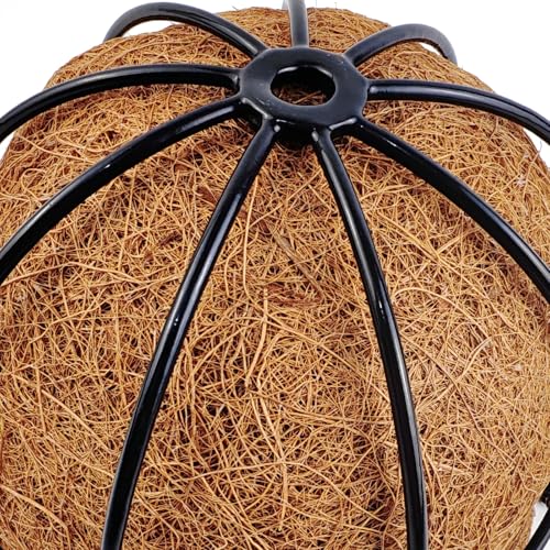 TIHOOD 2 Pack 8 inch Metal Hanging Baskets for Plants Outdoor, Wire Round Planters with Coco Coir Liner, Hanging Flower Baskets for Home Garden Porch Balcony Railings Decor