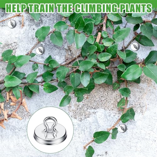 WILLBOND 80 Pcs Plant Anchors Kit for Vine Wall Stucco Trellis, Silver - color: Silver