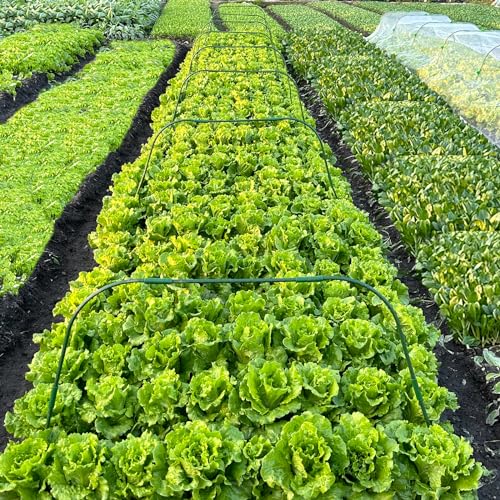 10 Sets Greenhouse Hoops Grow Tunnel-41.3" W x 31.5" H with 30 PCS Clamps,DIY Garden Hoop Plastic Rustproof Support Frame Garden Hoop Stakes for Plants Fruits Vegetables Raised Garden Beds Row Cover