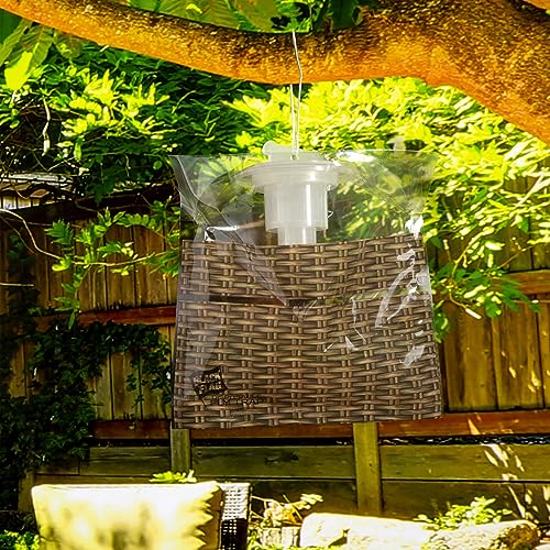 Black Flag Disposable Fly Trap, Attracts All Major Fly Species - size: 1 Pack