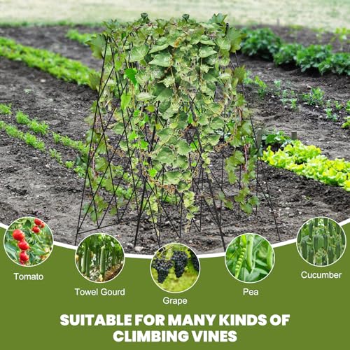 Cucumber Trellis 2 Pack,Foldable A-Frame Garden Trellis - color: Pitch Black, size: 39.4" H