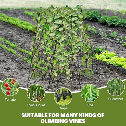 Cucumber Trellis 2 Pack,Foldable A-Frame Garden Trellis - color: Pitch Black, size: 39.4" H