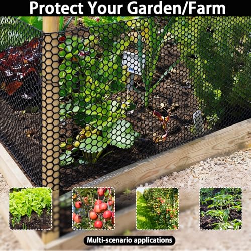 Plastic Chicken Wire Fencing 15.7IN x 66FT,Pet Barrier Netting,Durable Garden Mesh Fence Animal Barrier for Dogs, Rabbits, Poultry & Plant Protection,Black - color: Black, size: 15.7INx66FT
