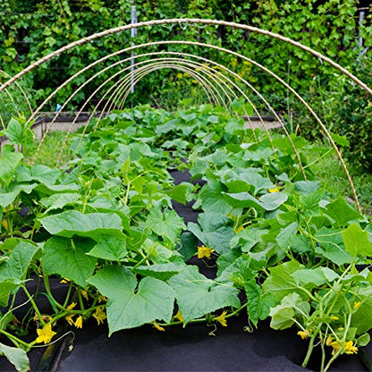 Weed Barrier Fabric, Heavy Duty Landscape Fabric Garden Cloth, 4ft x 10ft - size: 4ft x 10ft