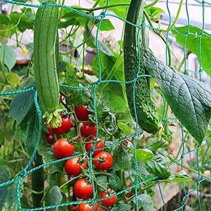 Trellis Netting, PDGROW Climbing Plant Support Net Garden Pea Bean Neting, Heavy-Duty PE Trellis Net for Cucumber, Tomato, Vegetables, Fruits, Sweet Pea Plants (6.6' x 16.4'Ft) - size: 6.6' x 16.4'