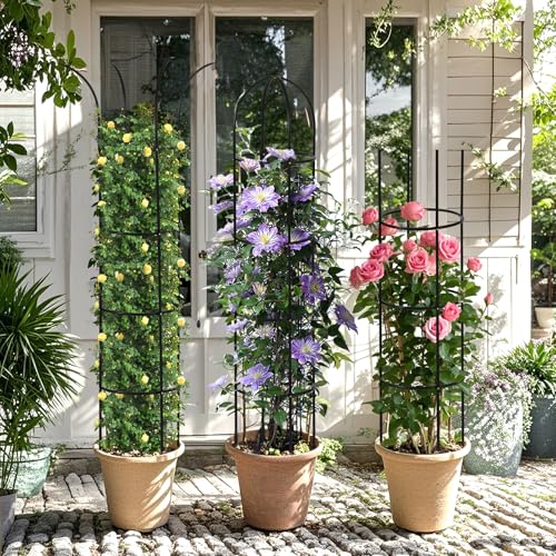 Wellsign 100% Metal Garden Obelisk Trellis for Climbing Plants Outdoor - size: 100%Metal-6.6ft-1PK
