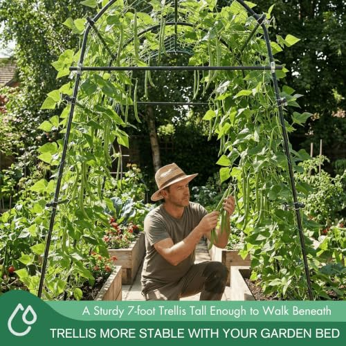 7FT Tall Heavy-Duty Metal Garden Arch Trellis for Climbing Plants Outdoor - size: 71"L×70"W×82"H