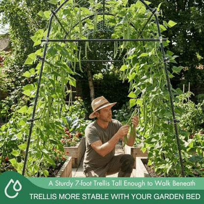 7FT Tall Heavy-Duty Metal Garden Arch Trellis for Climbing Plants Outdoor - size: 71"L×70"W×82"H