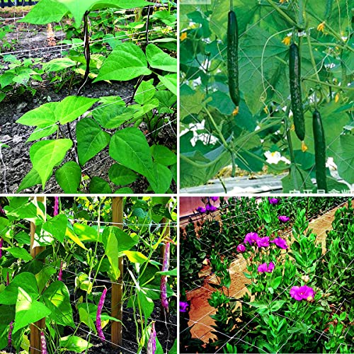 White Trellis Netting 4x100 ft Heavy Duty Garden Netting Polypropylene Plant Support Net for Climbing Vegetables Fruits Flowers - size: 4x100 ft