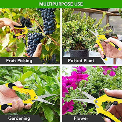 iPower 6.5 Inch Gardening Scissors Hand Pruner Pruning Shear with Straight Stainless Steel Blades, Yellow, 2-Pack - color: Yellow, size: 2-pack
